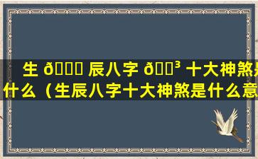 生 💐 辰八字 🐳 十大神煞是什么（生辰八字十大神煞是什么意思）